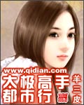 太極高手都市行