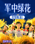 軍中綠花