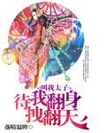 叫我太子:待我翻身拽翻天