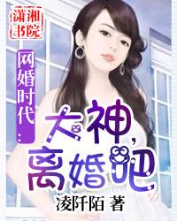 網婚時代:大神,離婚吧