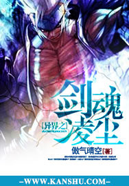 異界之劍魂凌塵