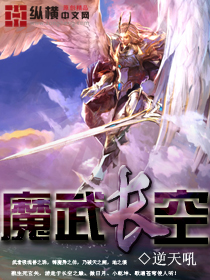 魔武長空