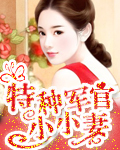 特種軍官小小妻
