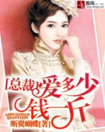 總裁,愛多少錢一斤