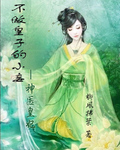 不做皇子的小妾:神醫皇妃
