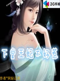 下堂王妃不好惹
