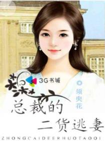 總裁的二貨逃妻