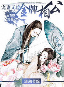 寵妻無度——金牌相公